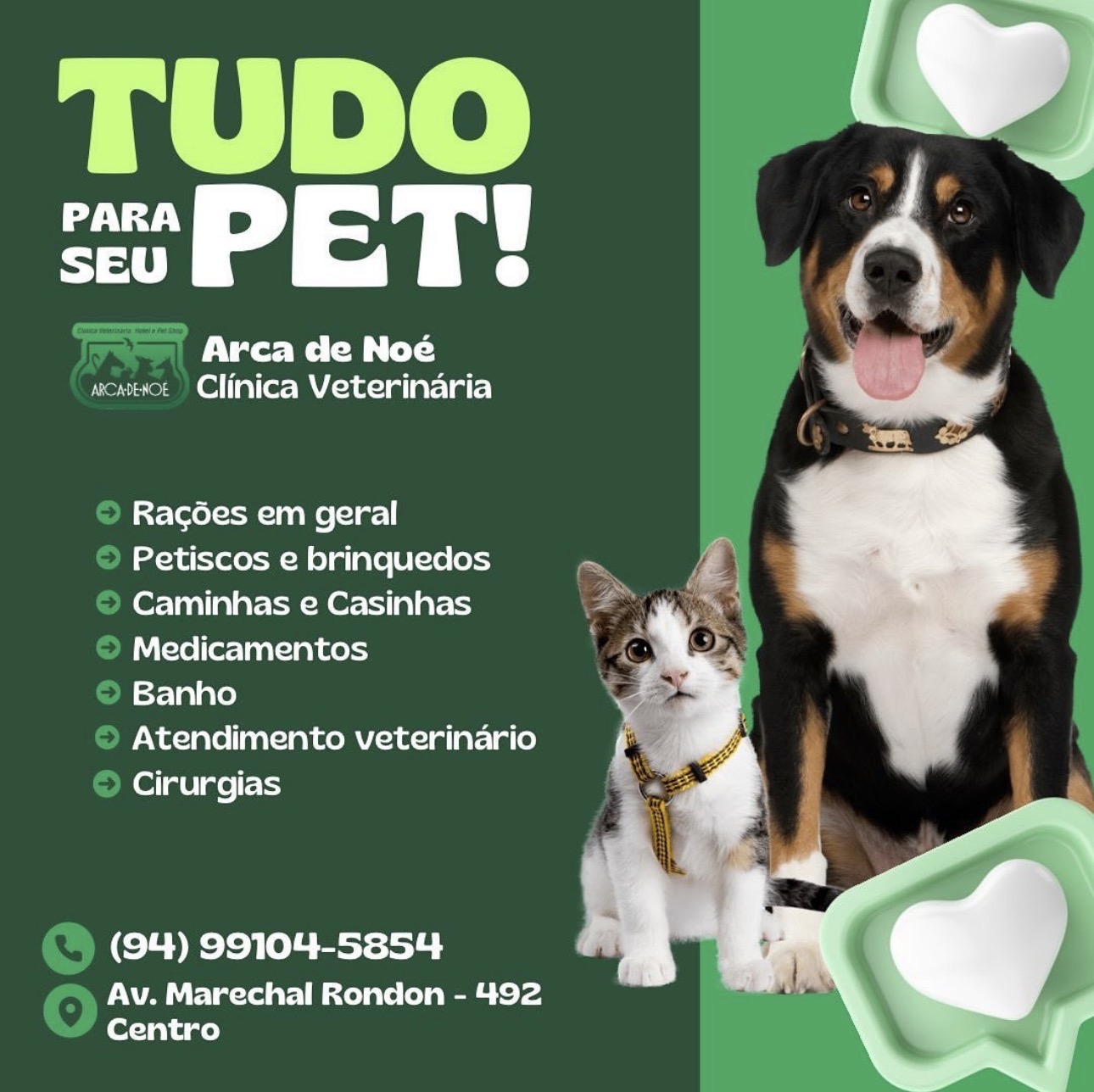 Cachorro e gato em arte da Arca de Noé - Serviços veterinários completos